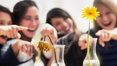 Illustration knifed - Image 1