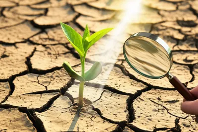 Illustration intensive - Image 1