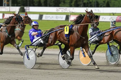 Illustration trots - Image 1