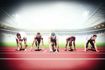 Illustration seeding - Image 1