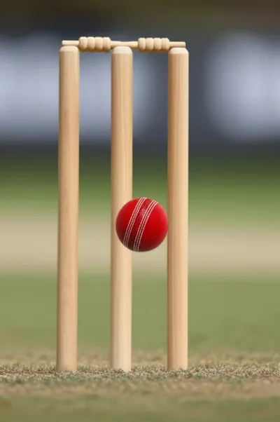 Illustration wickets - Image 1