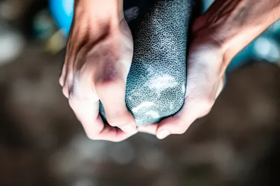 Illustration grips - Image 1