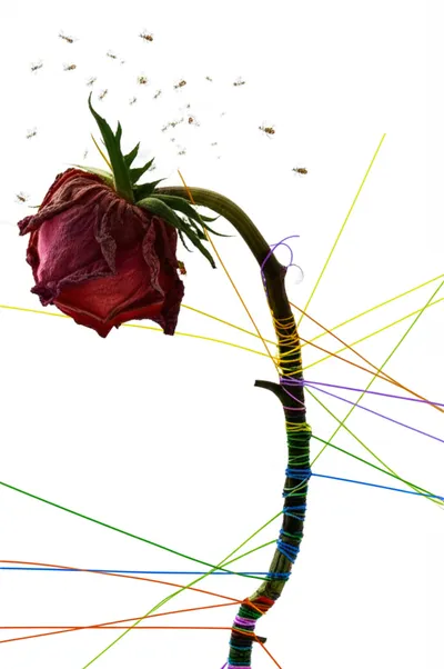 Illustration complications - Image 1