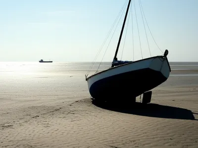 Illustration sue - Image 1