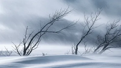 Illustration snowstorm