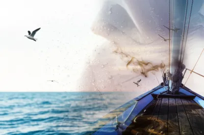 Illustration rakes - Image 1