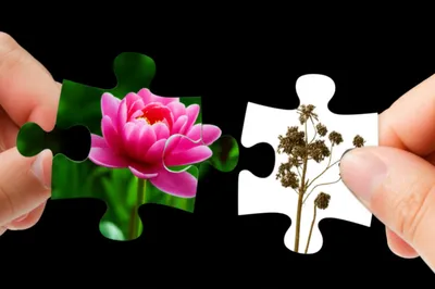 Illustration falsity