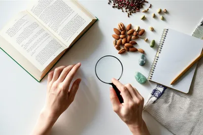 Illustration survey - Image 1