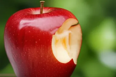 Illustration nicks - Image 1