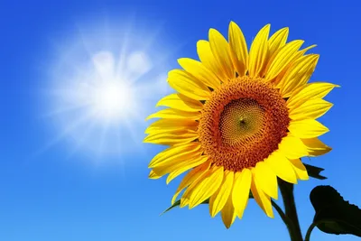 Illustration taxis - Image 1