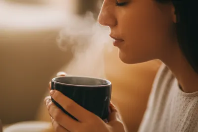 Illustration sniffs - Image 1