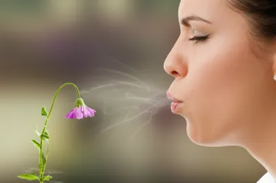 Illustration puffs - Image 1