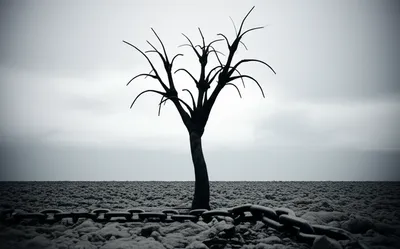 Illustration unredeemed - Image 1