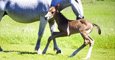 Illustration fall - Image 1