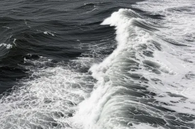 Illustration chops - Image 1