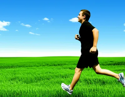 Illustration haler - Image 1