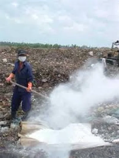 Illustration lime - Image 2