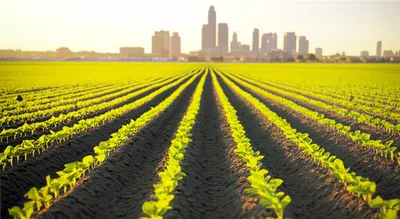 Illustration sem - Image 1