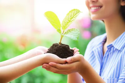 Illustration recommended - Image 1