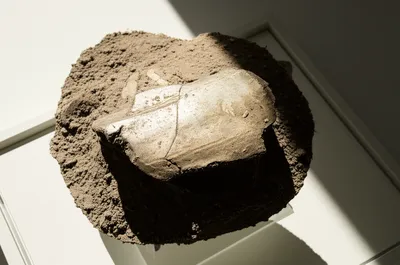 Illustration newer - Image 1