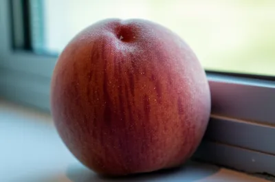 Illustration blows - Image 1