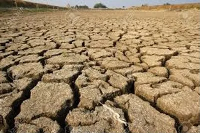 Illustration arid - Image 2