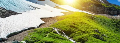 Illustration thawing - Image 1