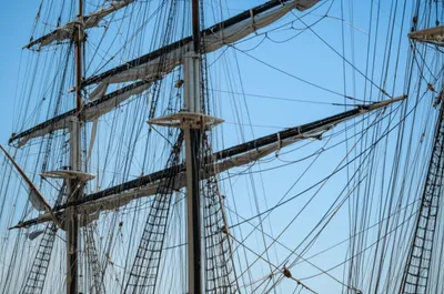 Illustration jeers - Image 1