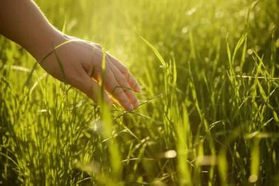 Illustration tingling - Image 1