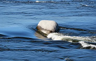 Illustration front - Image 1