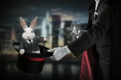 Illustration policy - Image 1