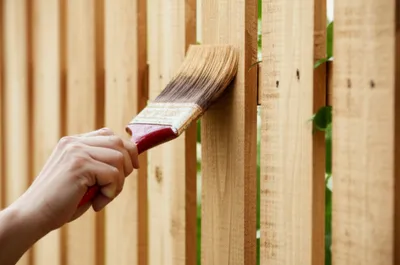 Illustration did - Image 1