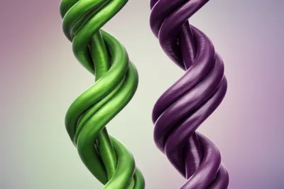 Illustration intertwining