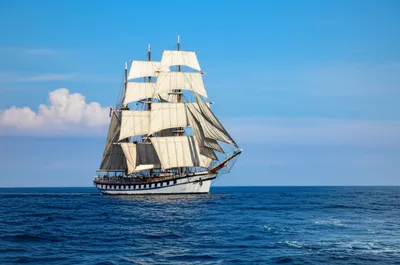 Illustration navigates - Image 1