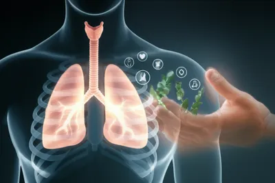 Illustration pectoral - Image 1