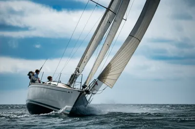 Illustration gybe - Image 1