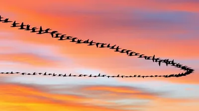 Illustration synchronised - Image 1