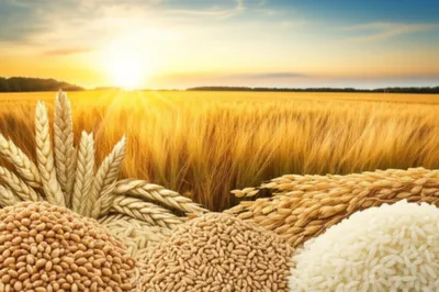 Illustration gr - Image 1