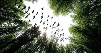 Illustration upward - Image 1