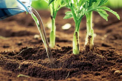 Illustration water - Image 1