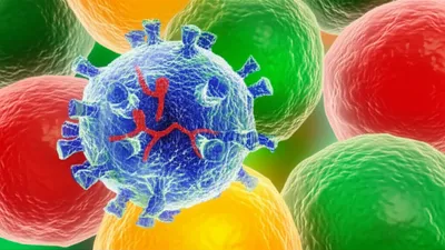 Illustration bugs - Image 1