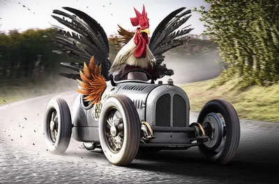 Illustration roosts - Image 1