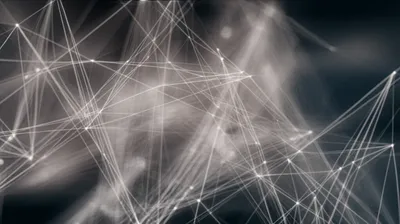 Illustration reticulum