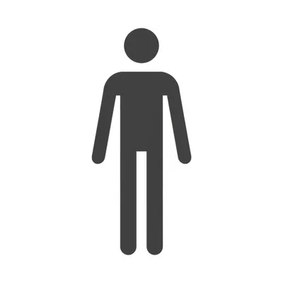 Illustration anatomy - Image 1