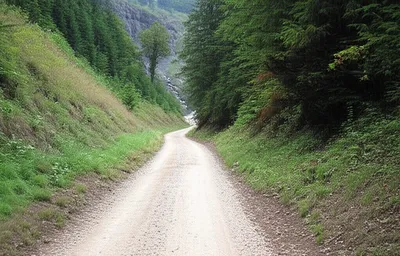 Illustration diverts - Image 1