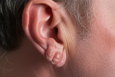 Illustration cauliflower - Image 1