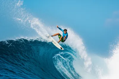 Illustration hotdogs - Image 1