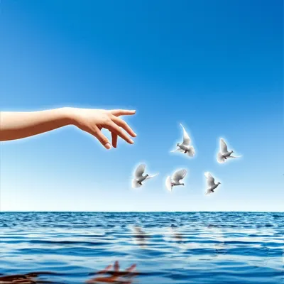 Hình ảnh minh họa pacify - Ảnh 1