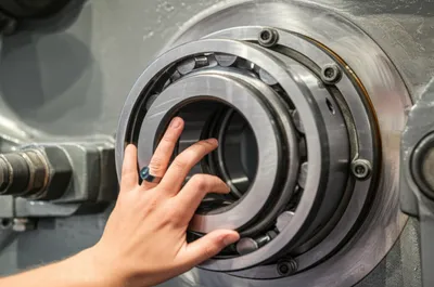 Illustration babbitt - Image 1