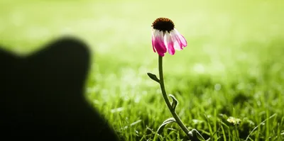 Illustration worry - Image 1